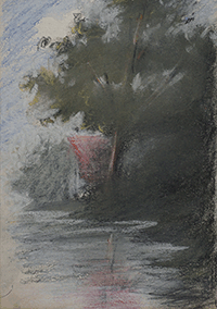 Tree reflected in water